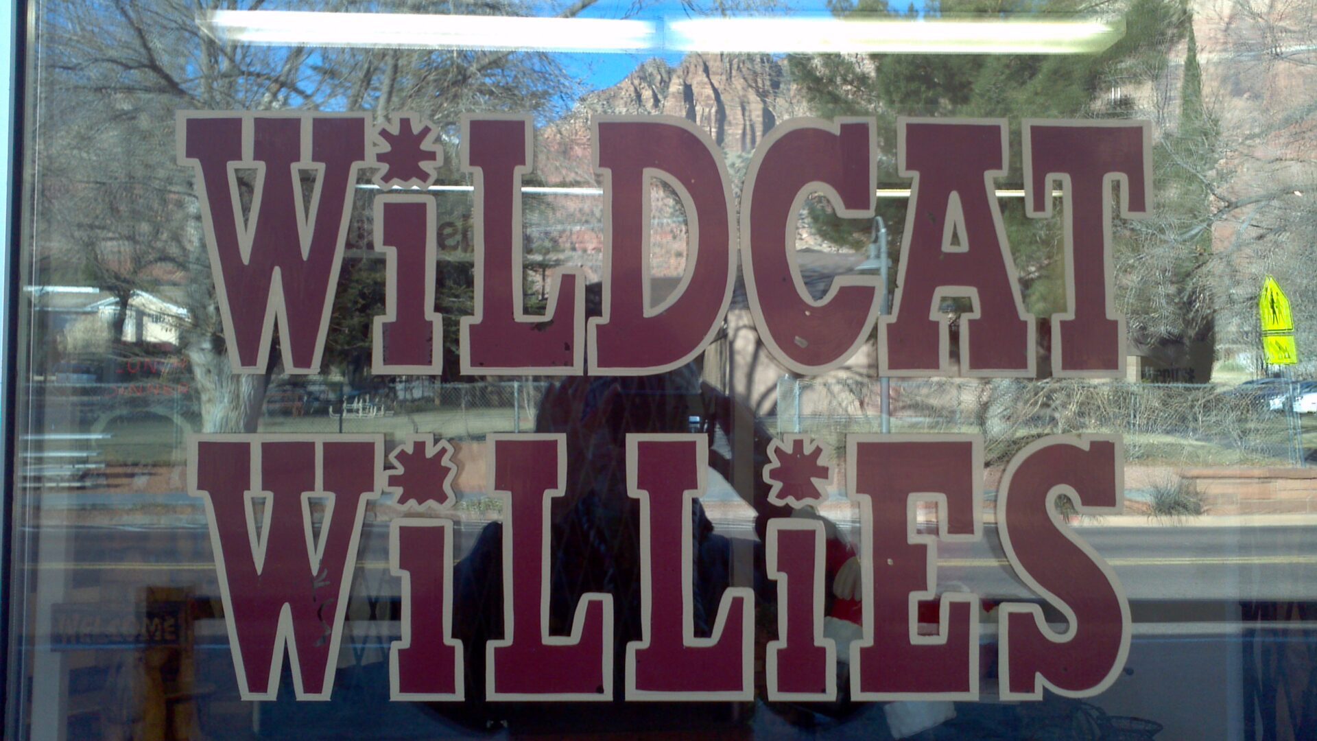 A sign that says wildcat willie's in a store window.