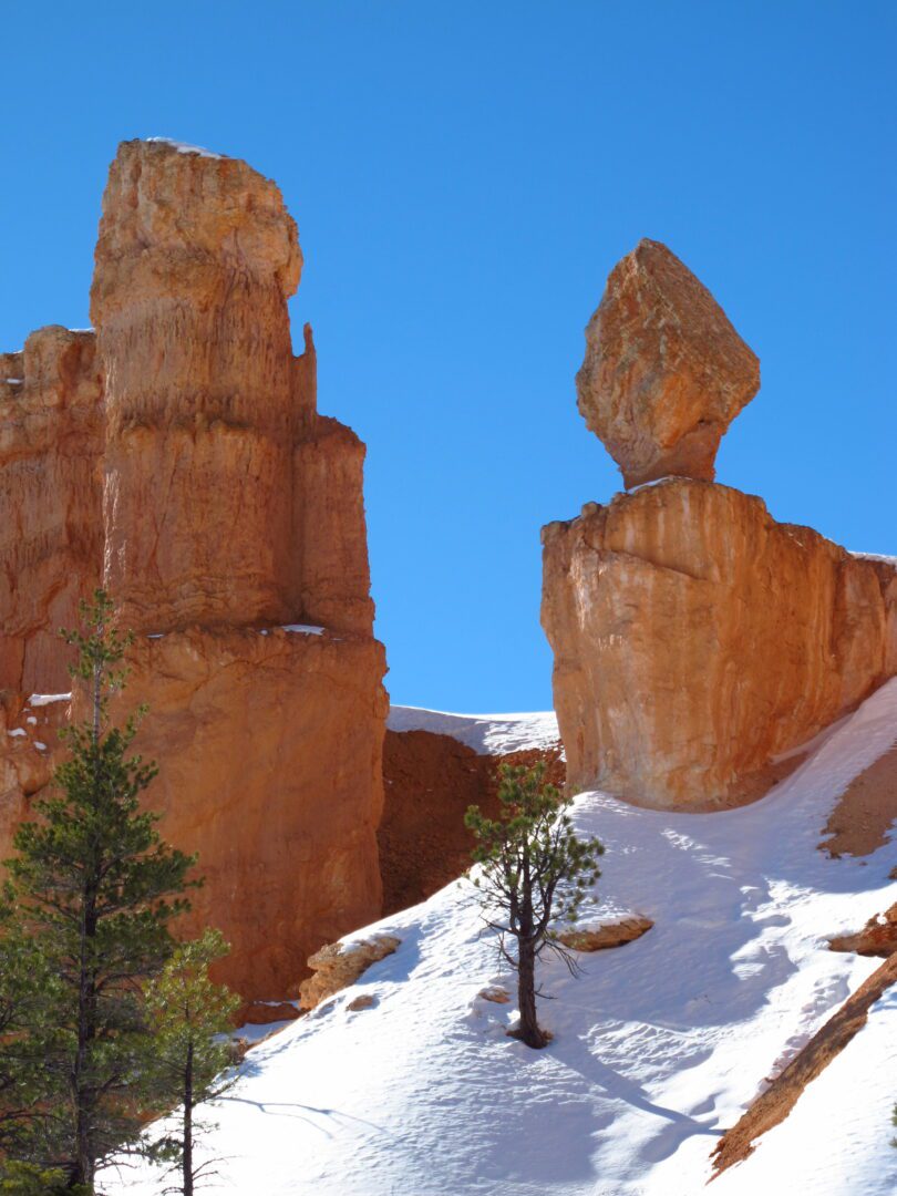 The ground is covered in snow.