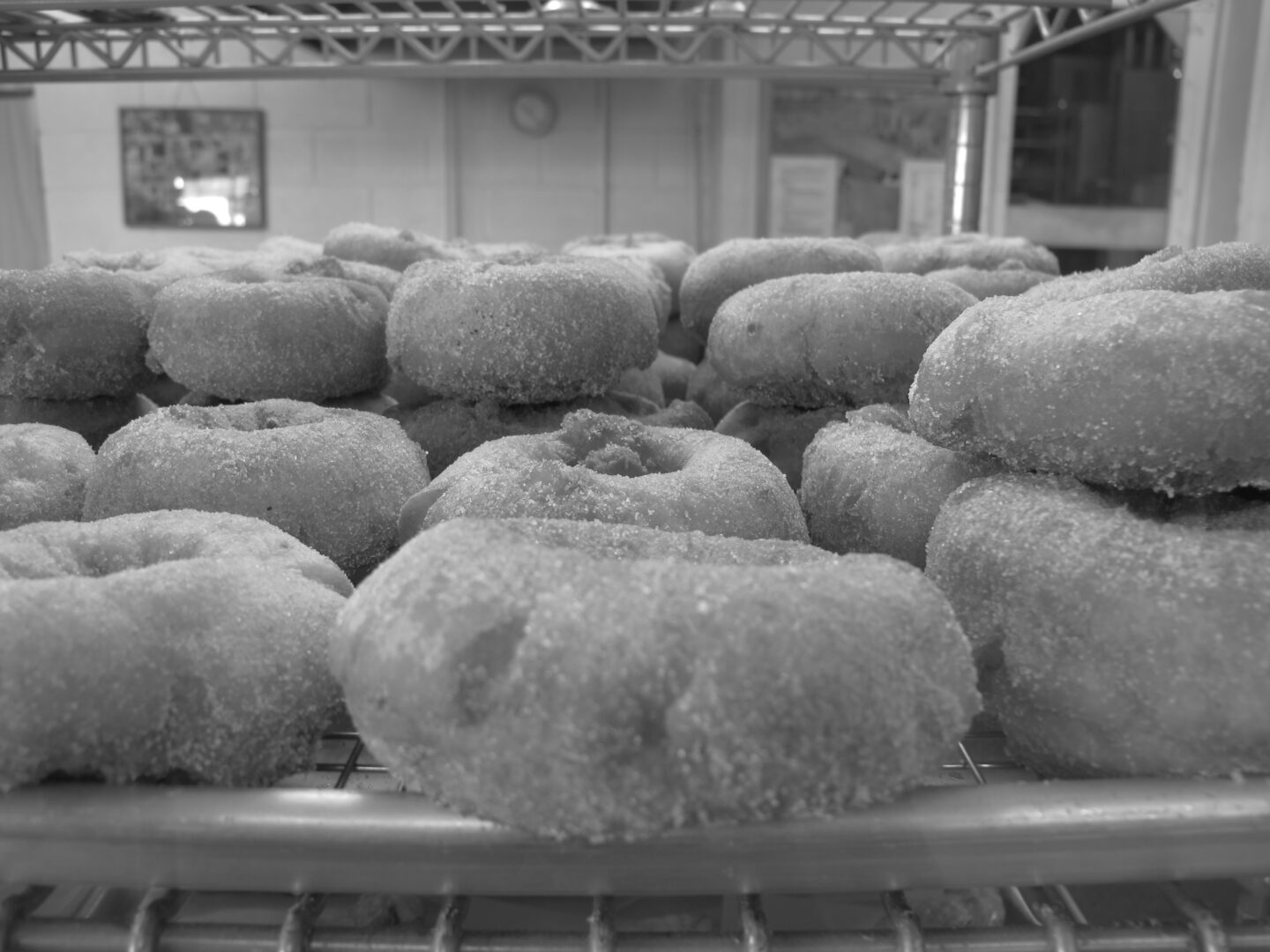 Black and white photo of donuts on a rack.
