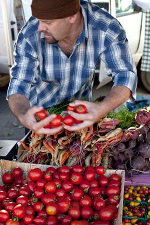 A man picking tomatoes at an outdoor market.