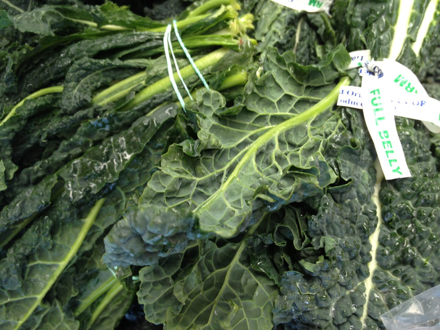A bunch of kale with tags on it.