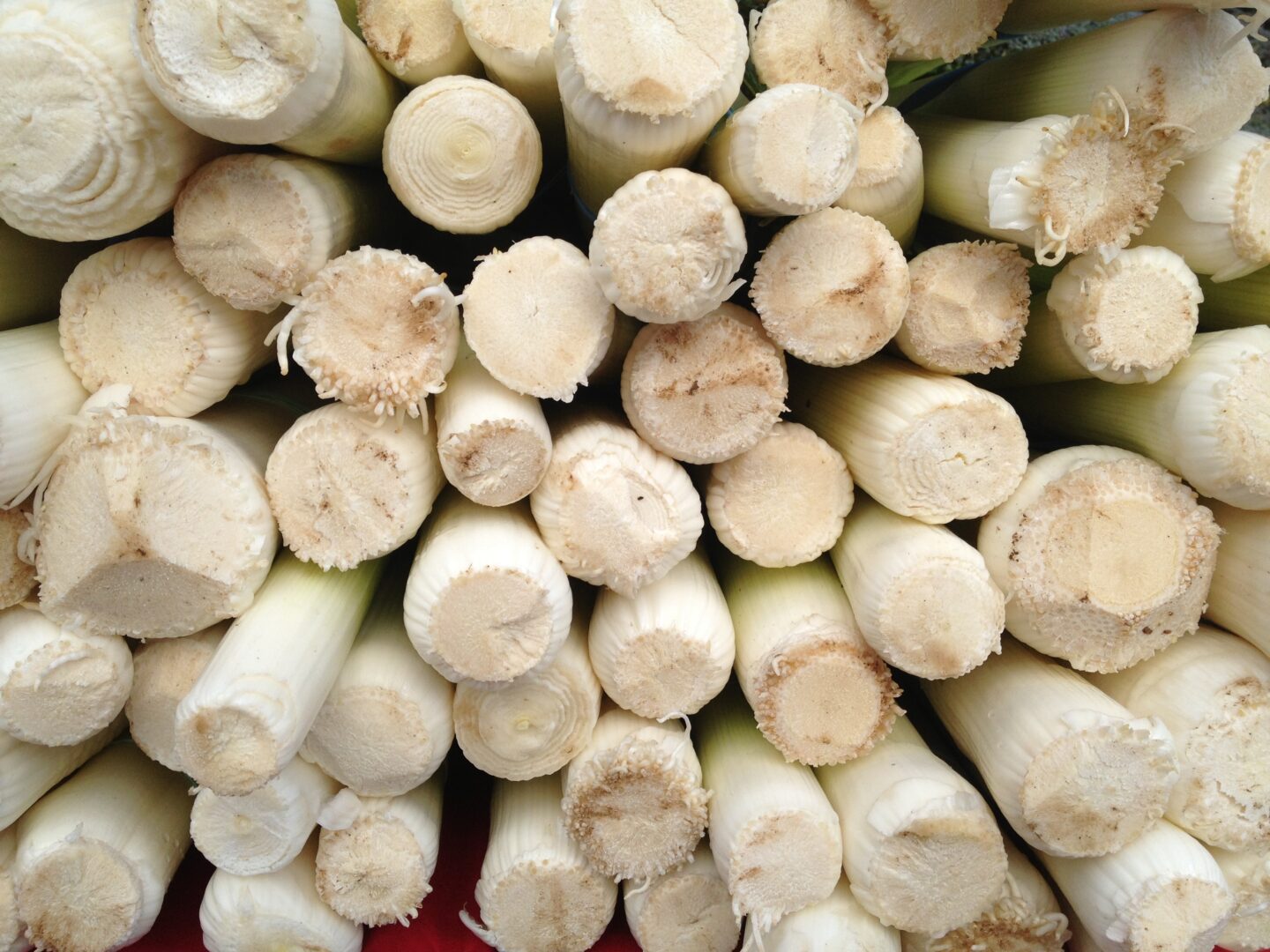 A pile of white leek is stacked on top of each other.