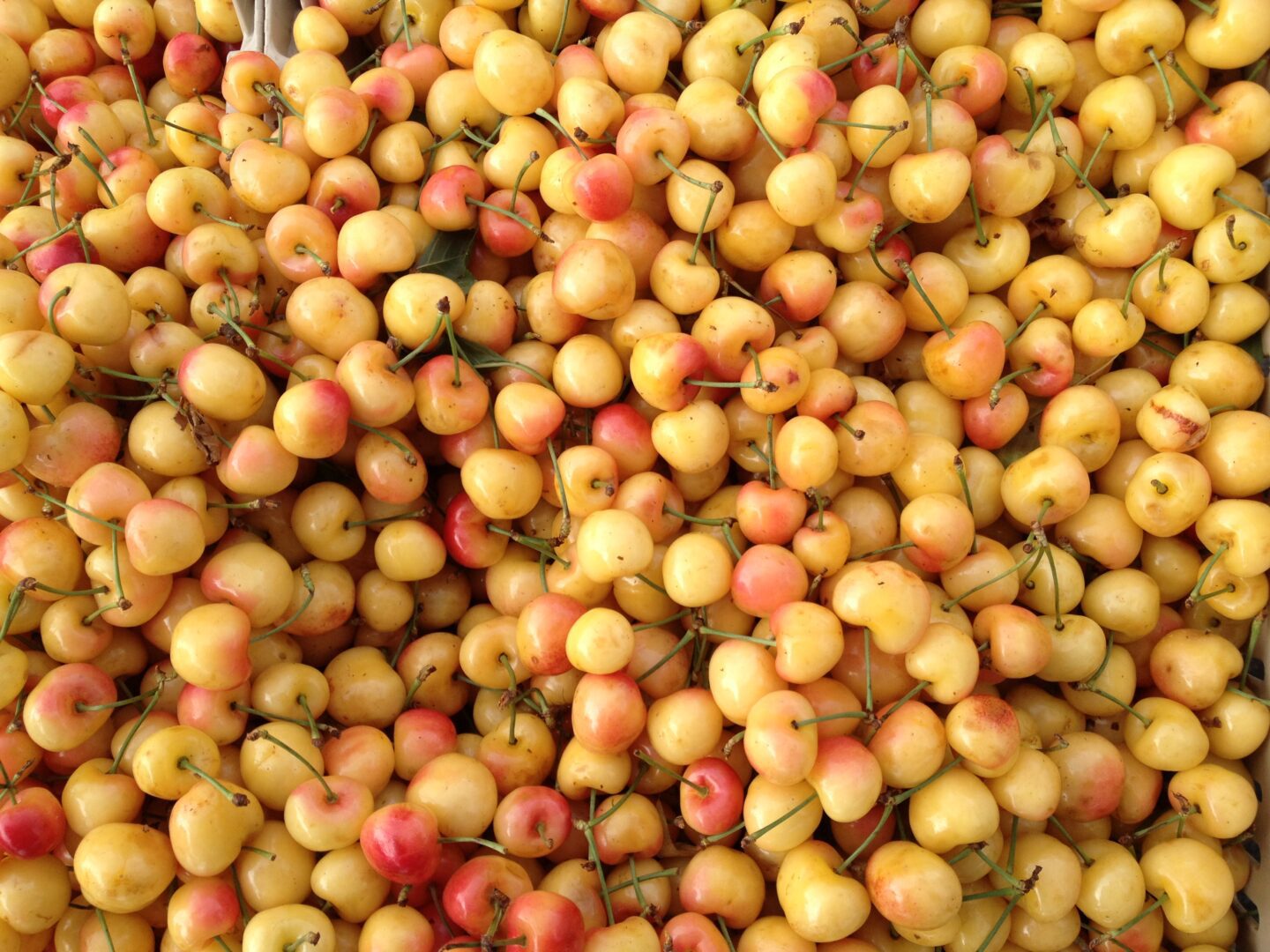 A pile of yellow cherries in a crate.