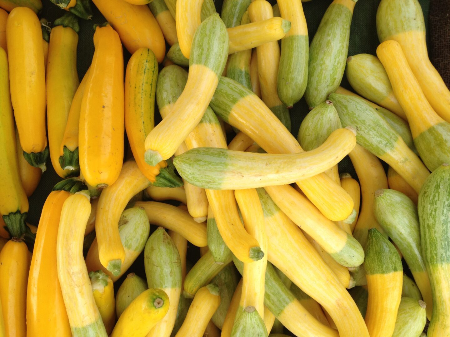 A pile of yellow and green squashes.