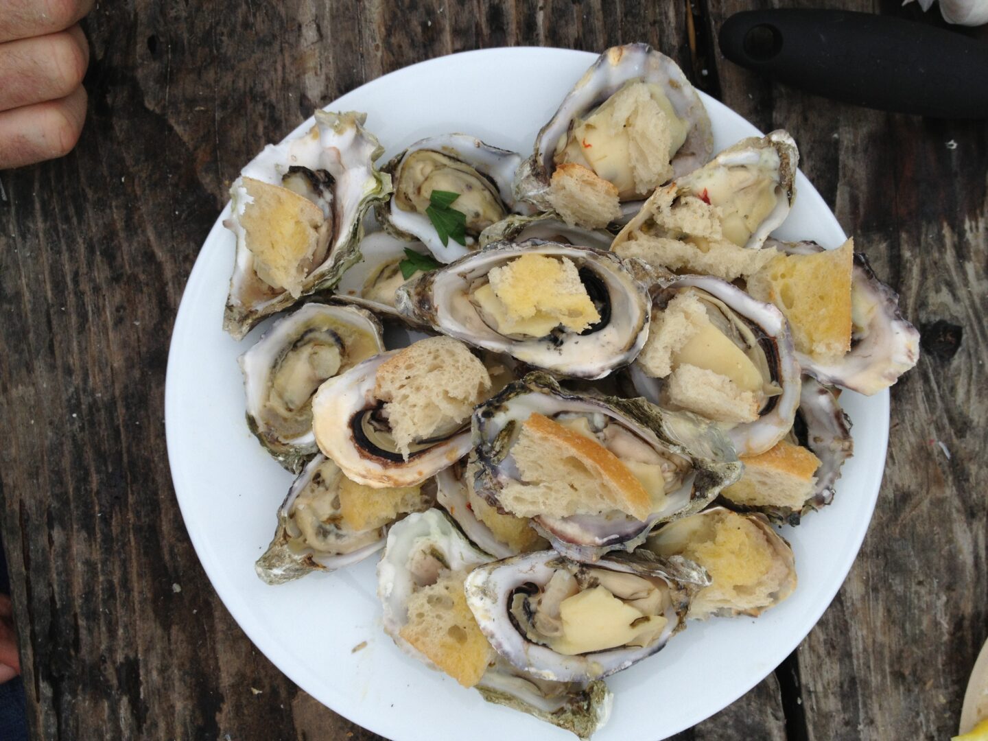 A plate of oysters on a wooden table.