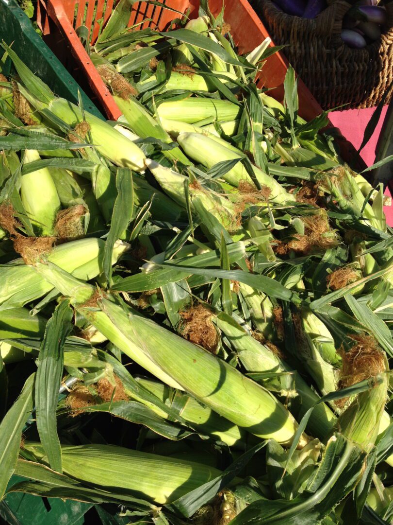 Corn on the cob at a farmers' market.