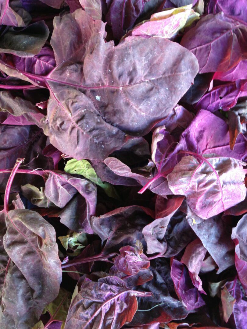 A pile of purple and green leaves.