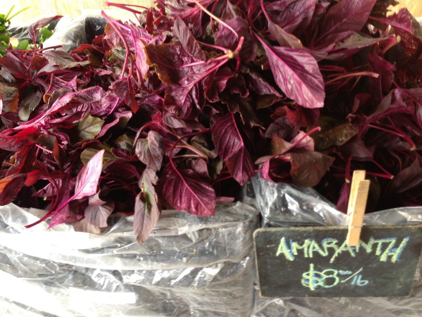 A bunch of plants in a plastic bag.