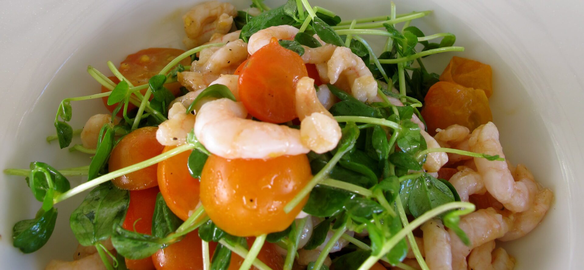 A white plate with shrimp, tomatoes and greens.