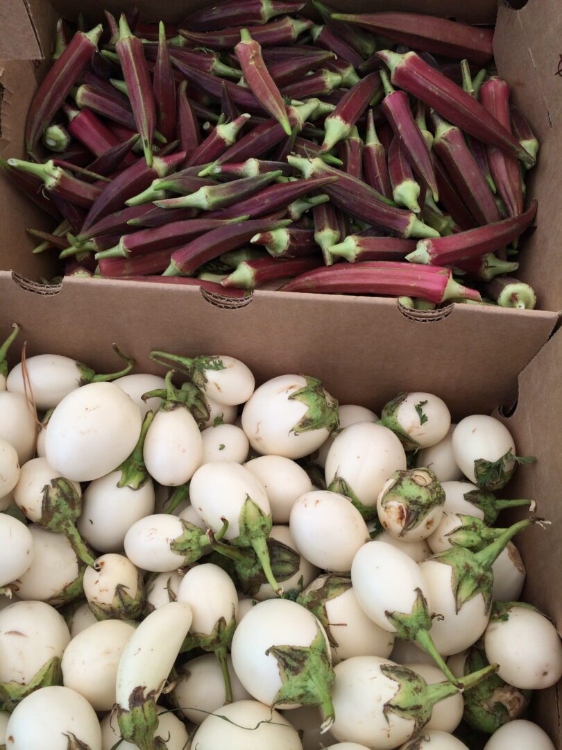 White eggplant and red okra at Santa Monica farmer's market