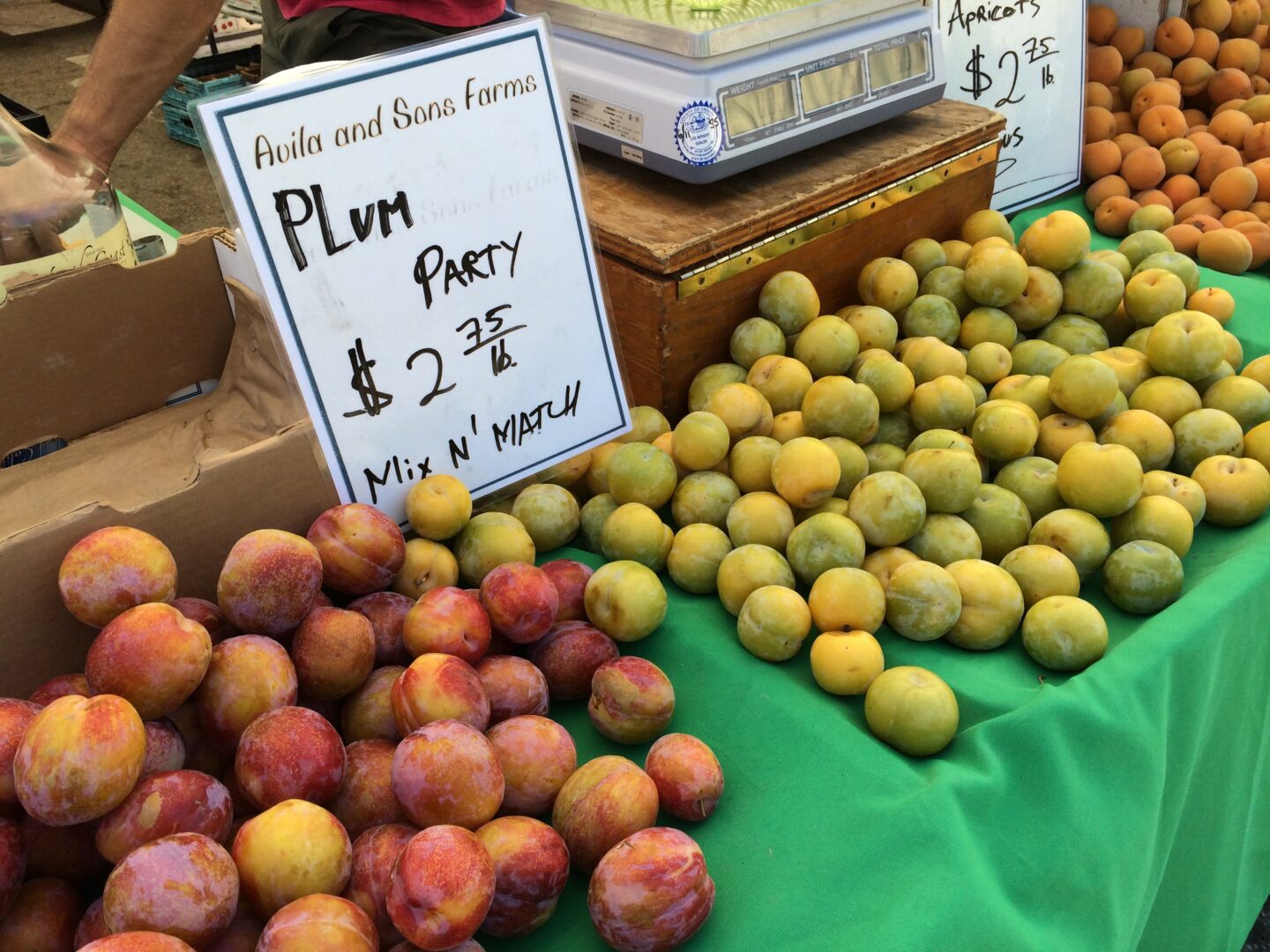 Plum party at Santa Monica farmer's market