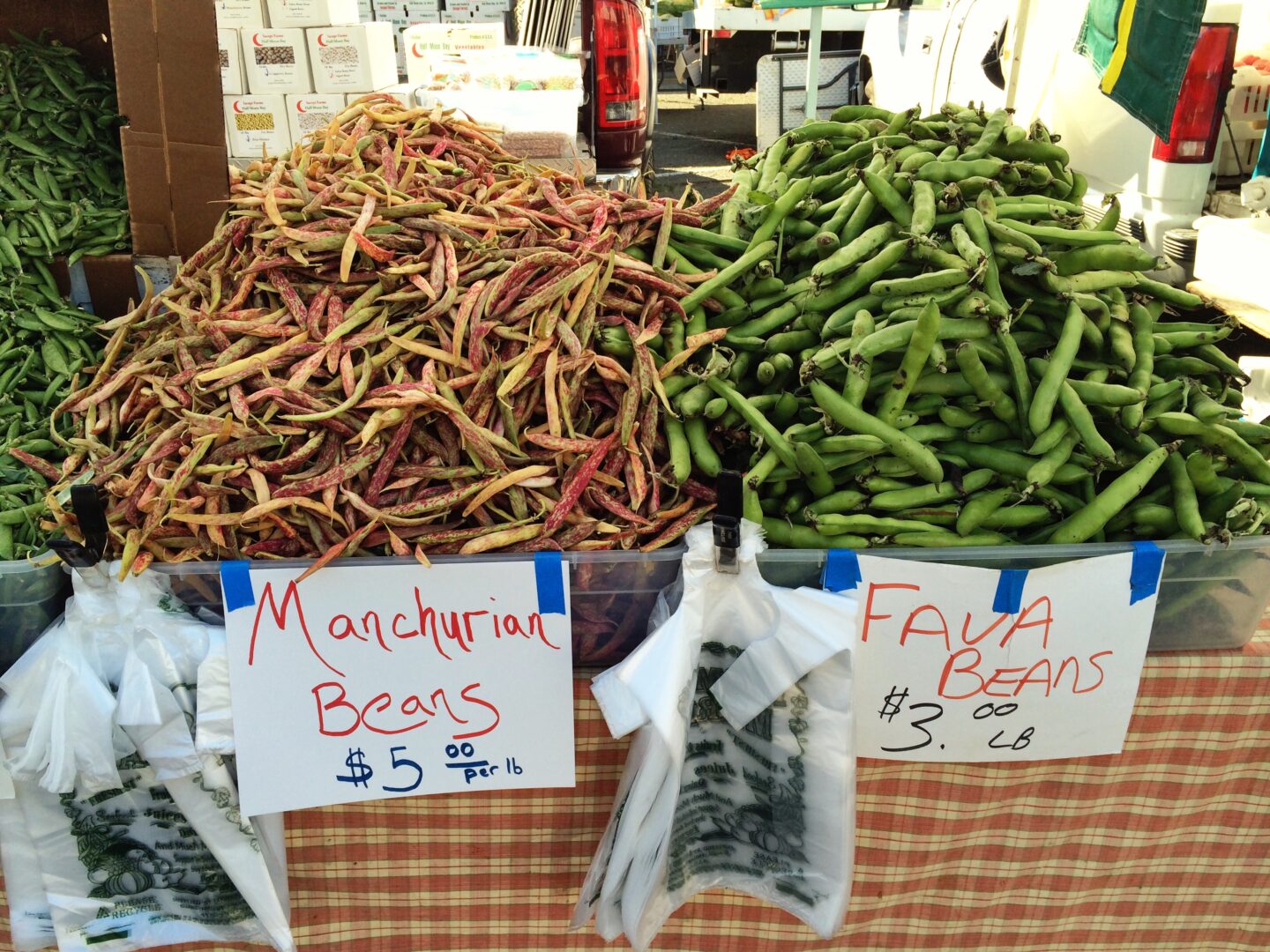 Manchurian Beans & Fava Beans