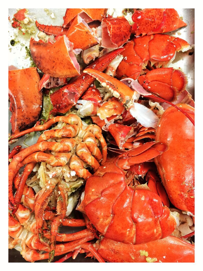 The empty lobster shells are picked clean of their meat and then used for stock