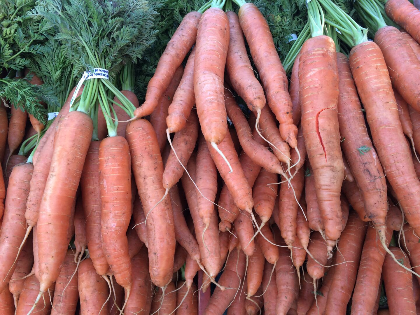 A bunch of carrots are piled up on a table.
