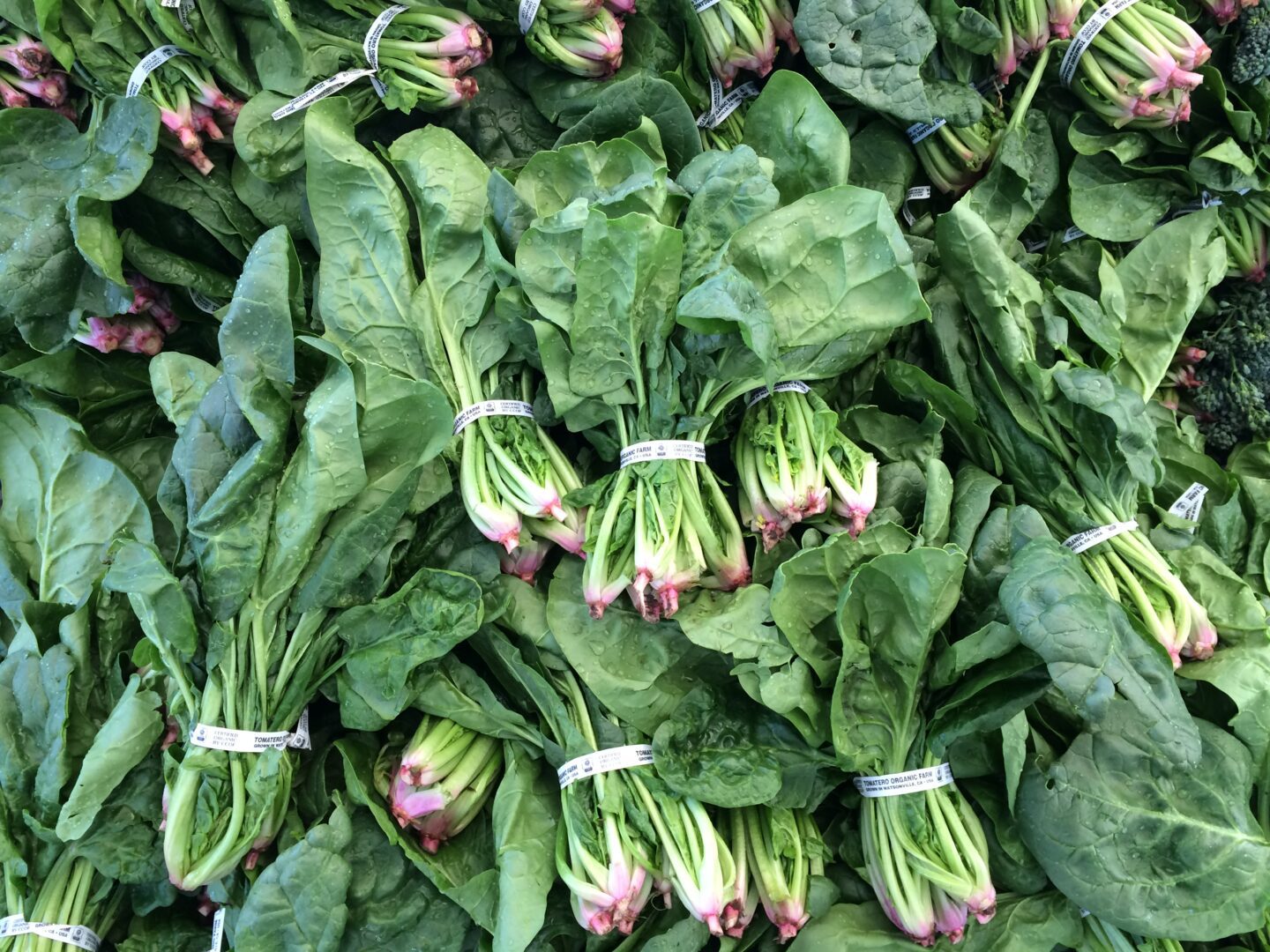 A bunch of spinach leaves are piled up in a market.
