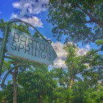 A sign for barton springs in front of trees.