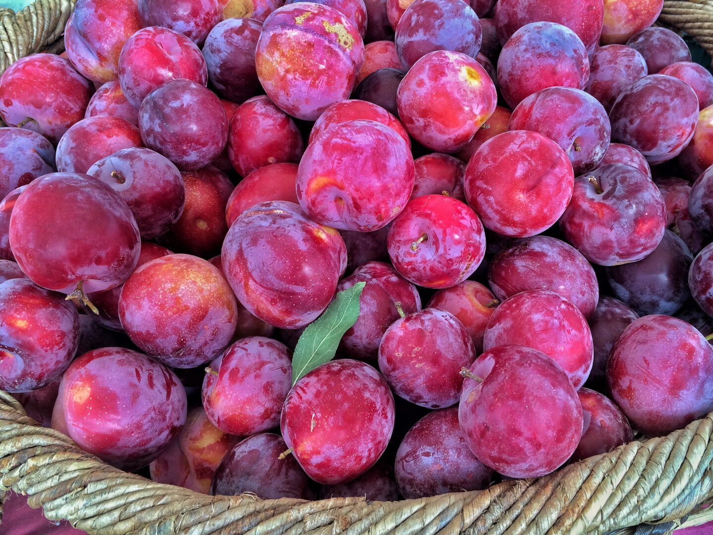 San Rafael’s Thursday Farmers Market in July-snapshots of what’s happening.