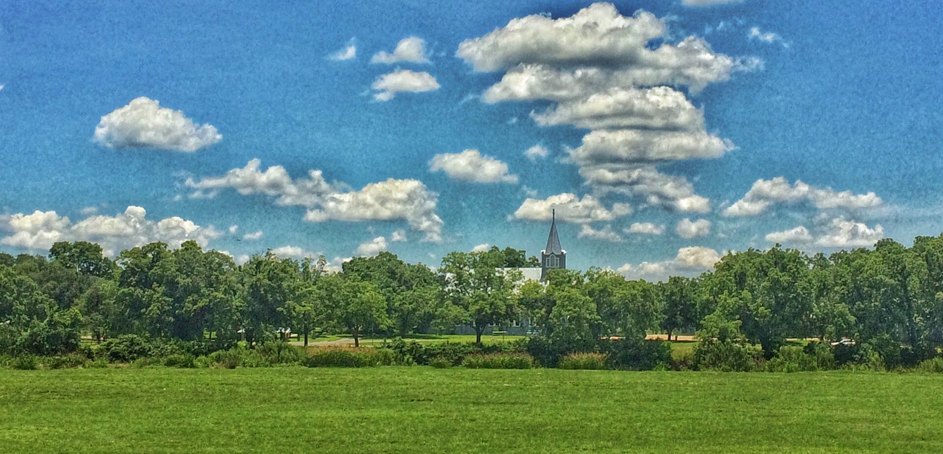 A field with trees and clouds in the sky.