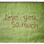 I love you so much written on a green wall.