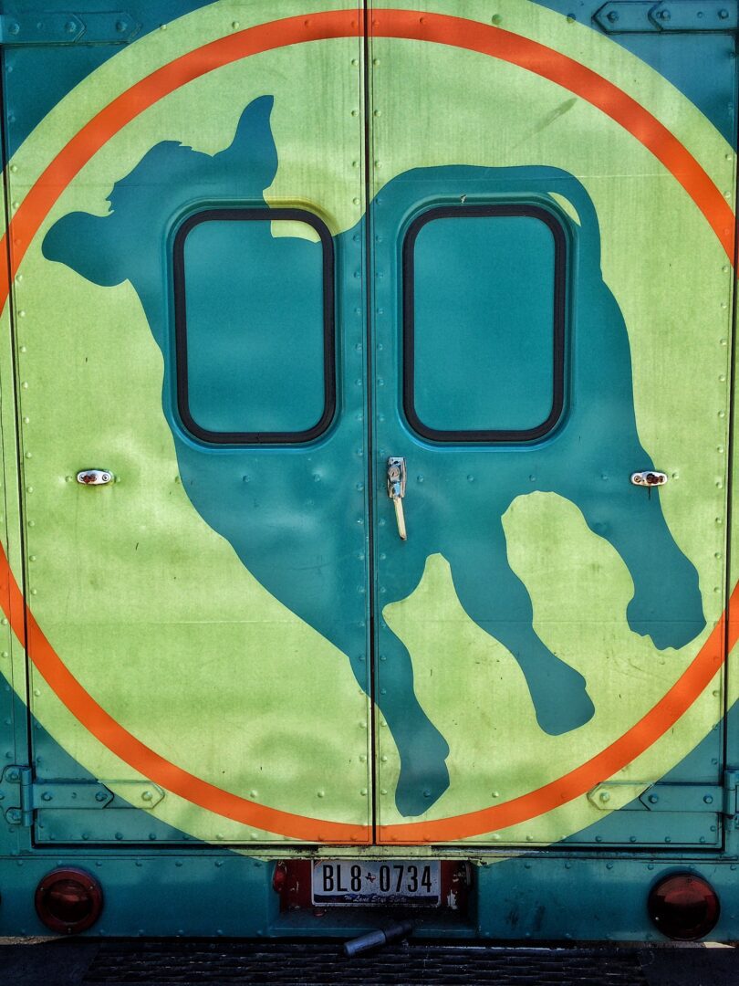 A blue and green truck with a cow on the side.
