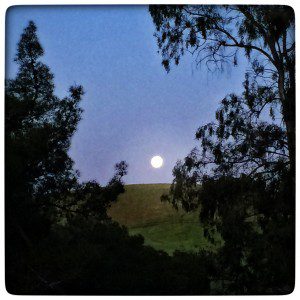 A full moon rising over a hill with trees in the background.