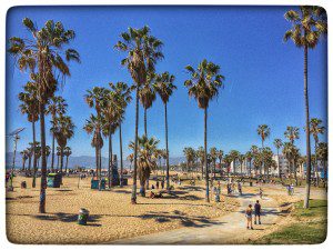 A sandy beach with palm trees.