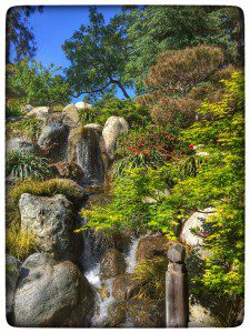 A waterfall in a japanese garden.