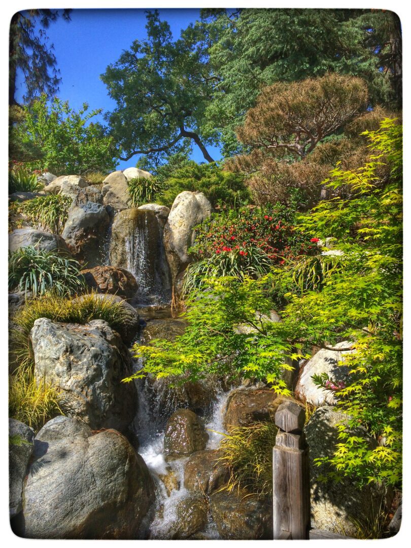 A waterfall in a japanese garden.