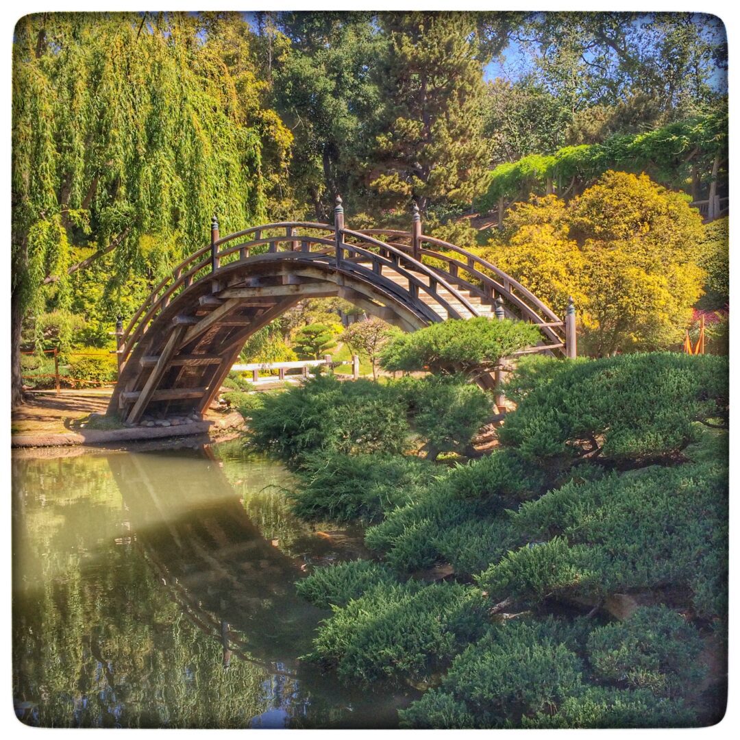A wooden bridge over a pond in a japanese garden.