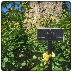 A sign with yellow roses in front of a tree.