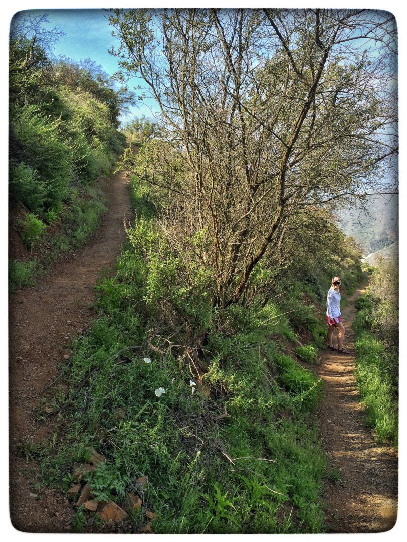 A person is walking down a trail.