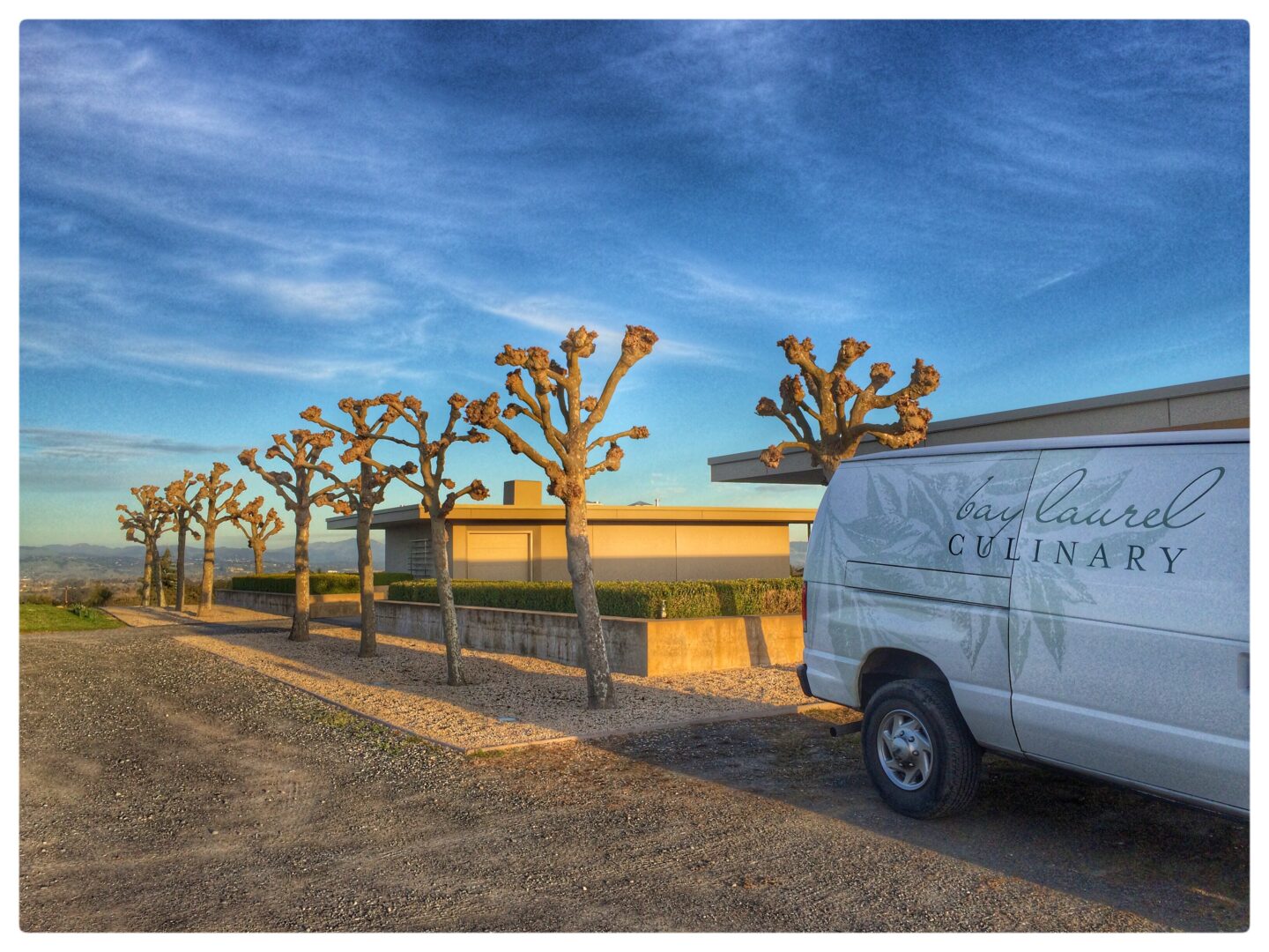 The BLC Machine out back with Pruned Sycamores