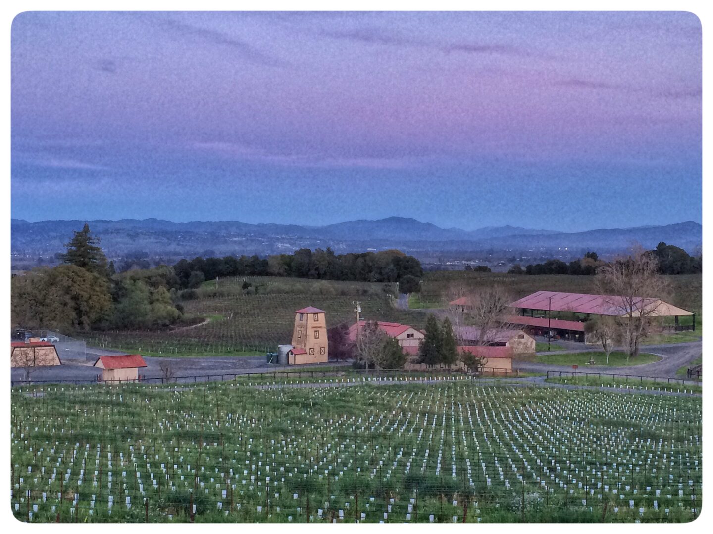 Sonoma-Cutrer at Vine Hill Ranch