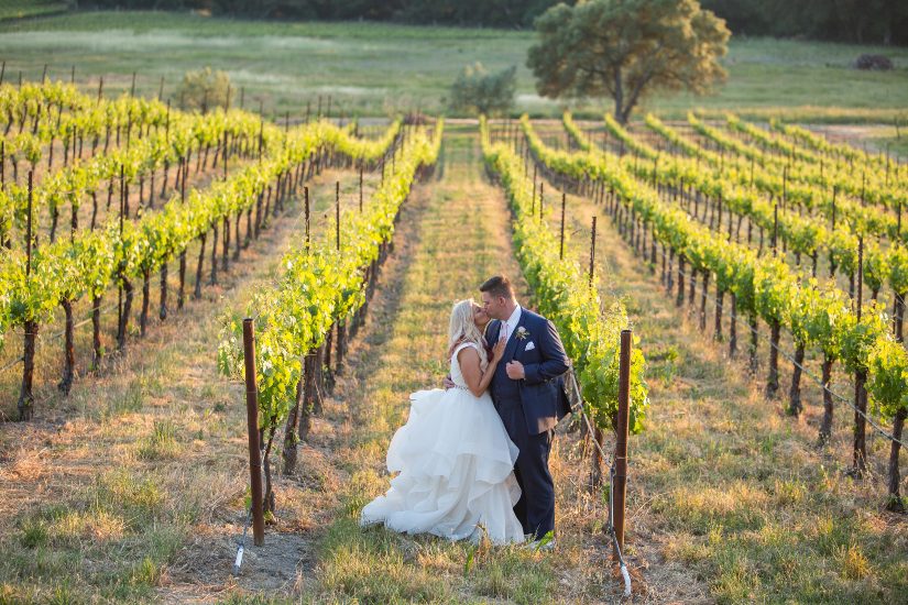 A bride and groom kissing in a vineyard.