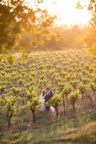 A bride and groom in a vineyard at sunset.