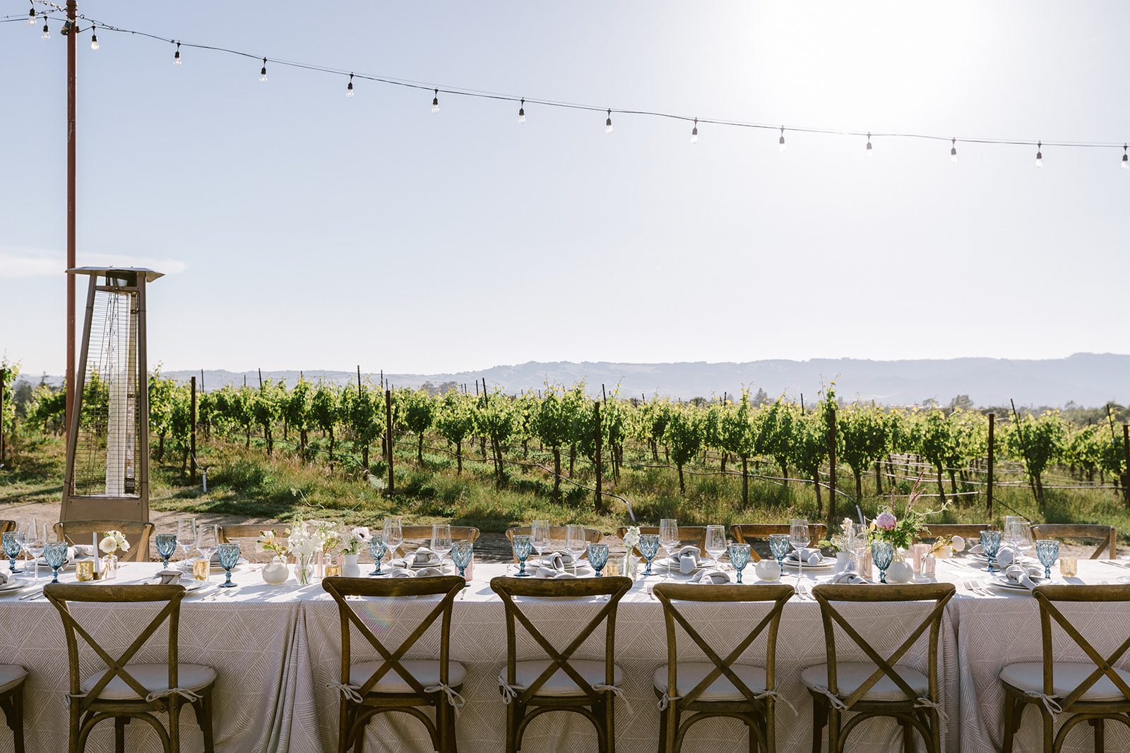 A table set up in a vineyard.