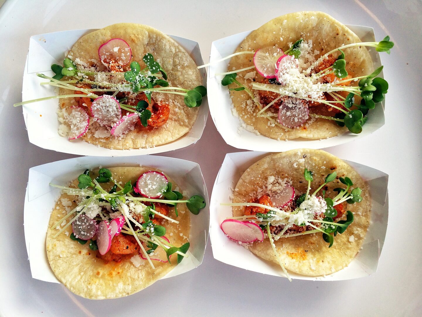 Four tacos on a white plate.