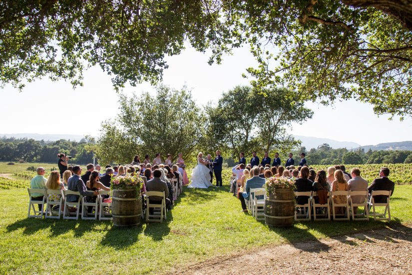 A wedding ceremony at a vineyard.