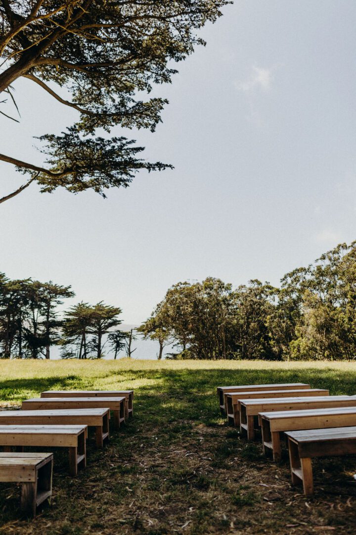 An outdoor wedding ceremony with wooden benches and a tree in the background.