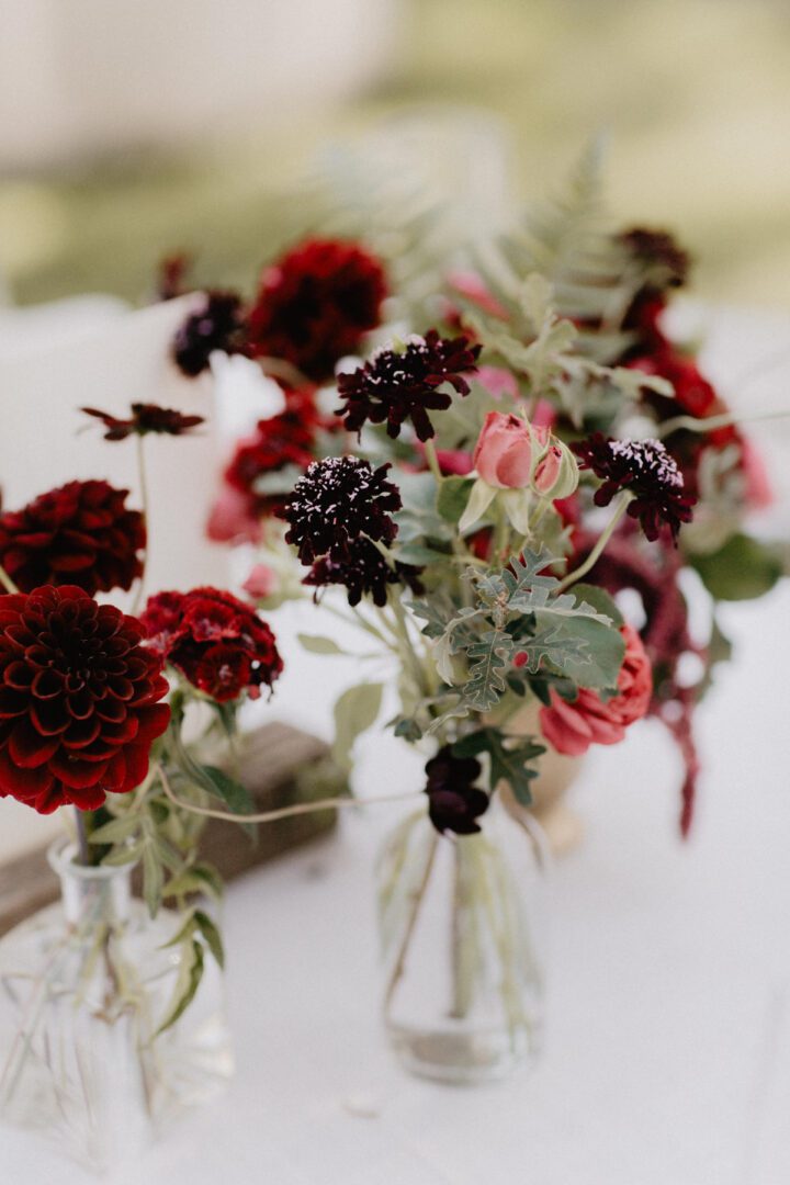 Red and black flowers in vases on a table.