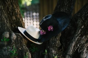 Two hats on a tree.