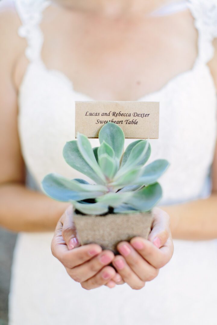 A bride holding a small succulent plant with a name tag.