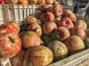 A basket full of peaches at a market.