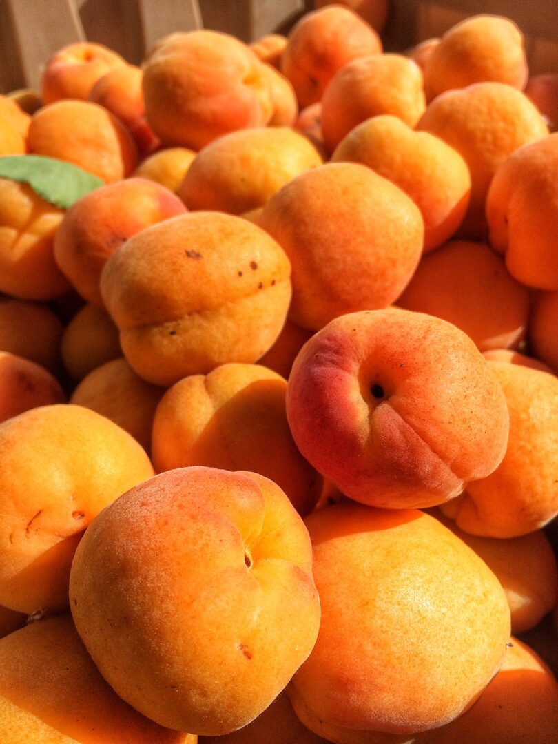 Apricots!