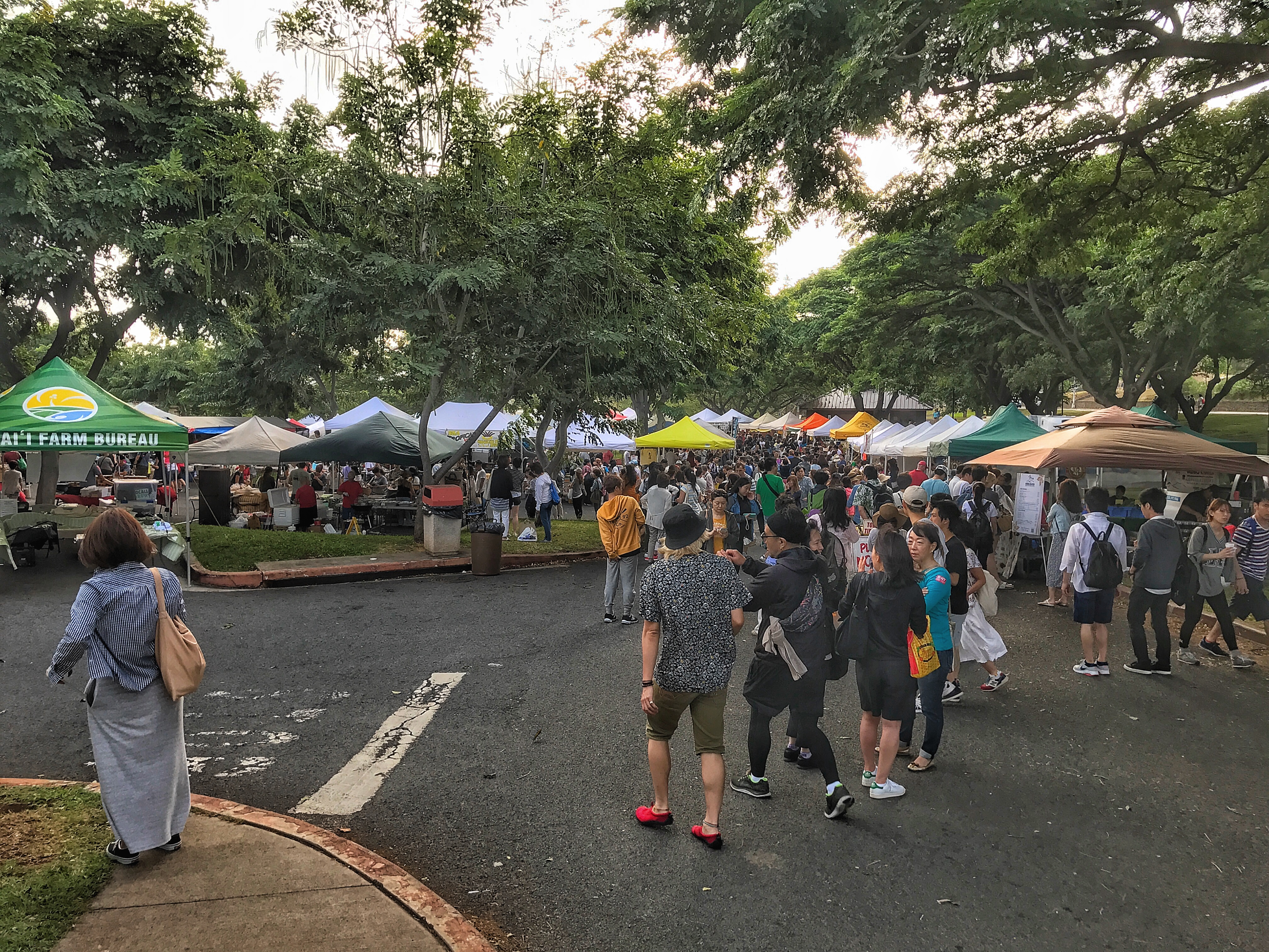 KCC Farmers Market, Honolulu, HI; Snapshot of What's Happening Bay