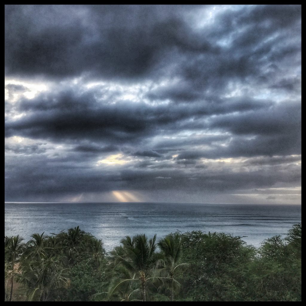 A dark sky over the ocean and palm trees.