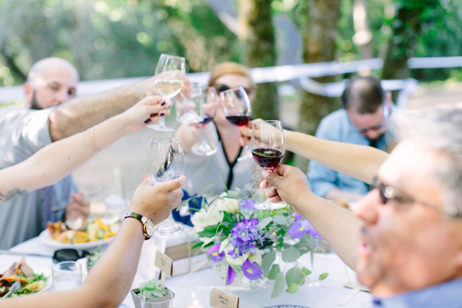 A group of people toasting wine glasses at an outdoor table.