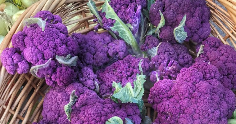 Marin Farmers Market in July – Snapshots of What’s Happening