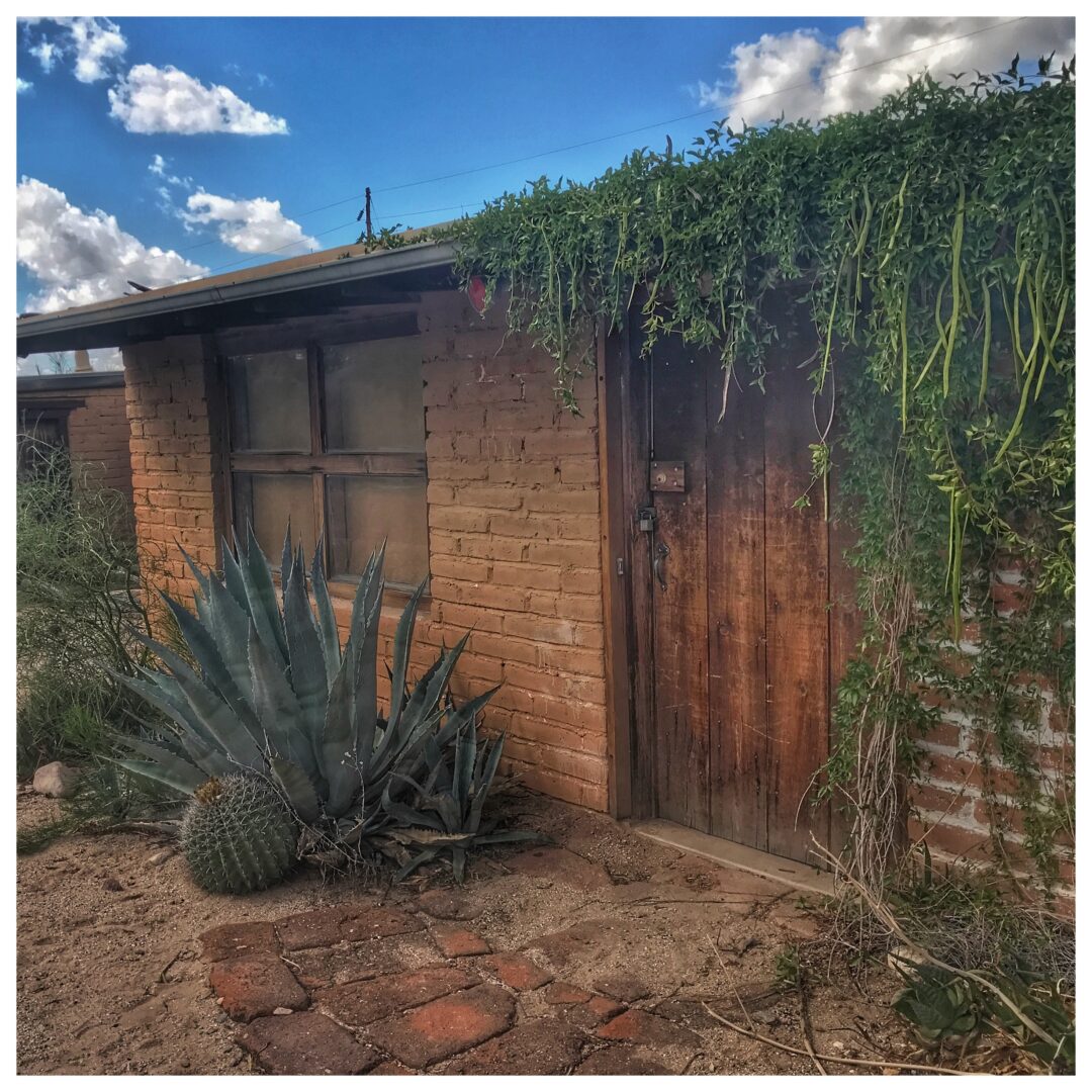 A house with cactus plants and a wooden door.