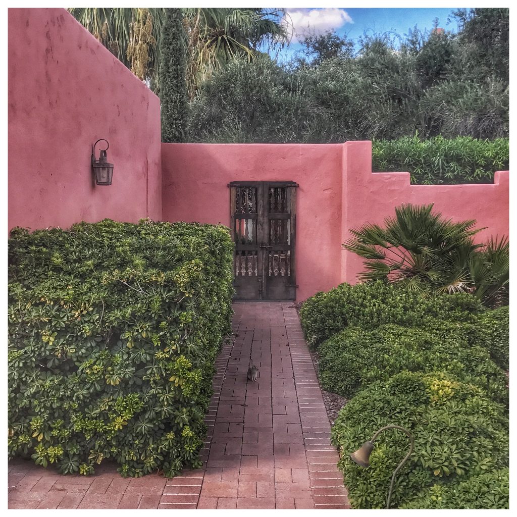 A pink wall with bushes and a door.